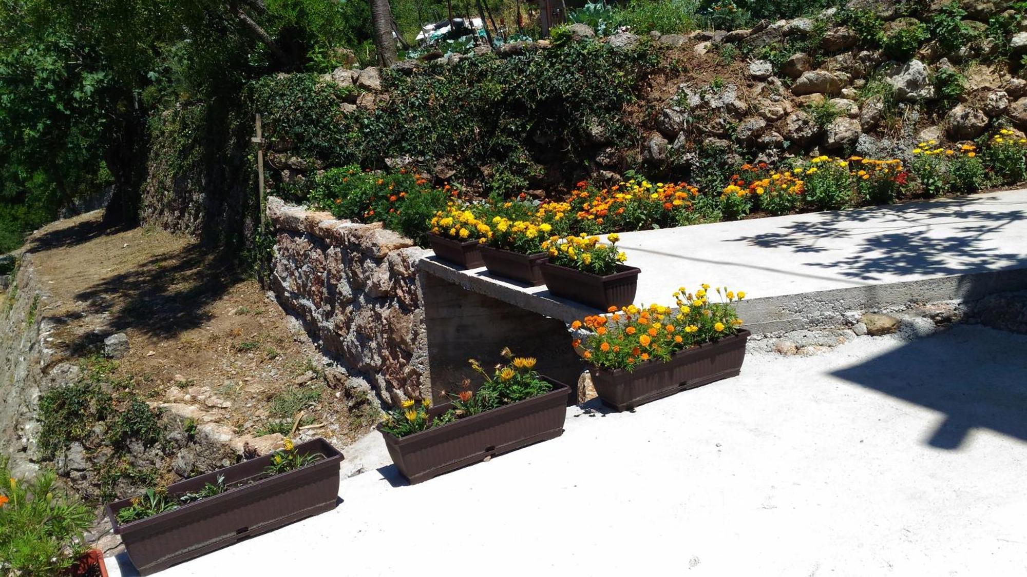 Apartment Mond Virpazar Rum bild